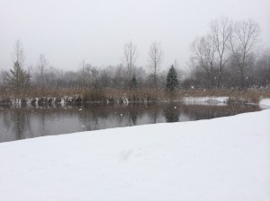 View of our lake in a Christmas Eve snowstorm, 2013
